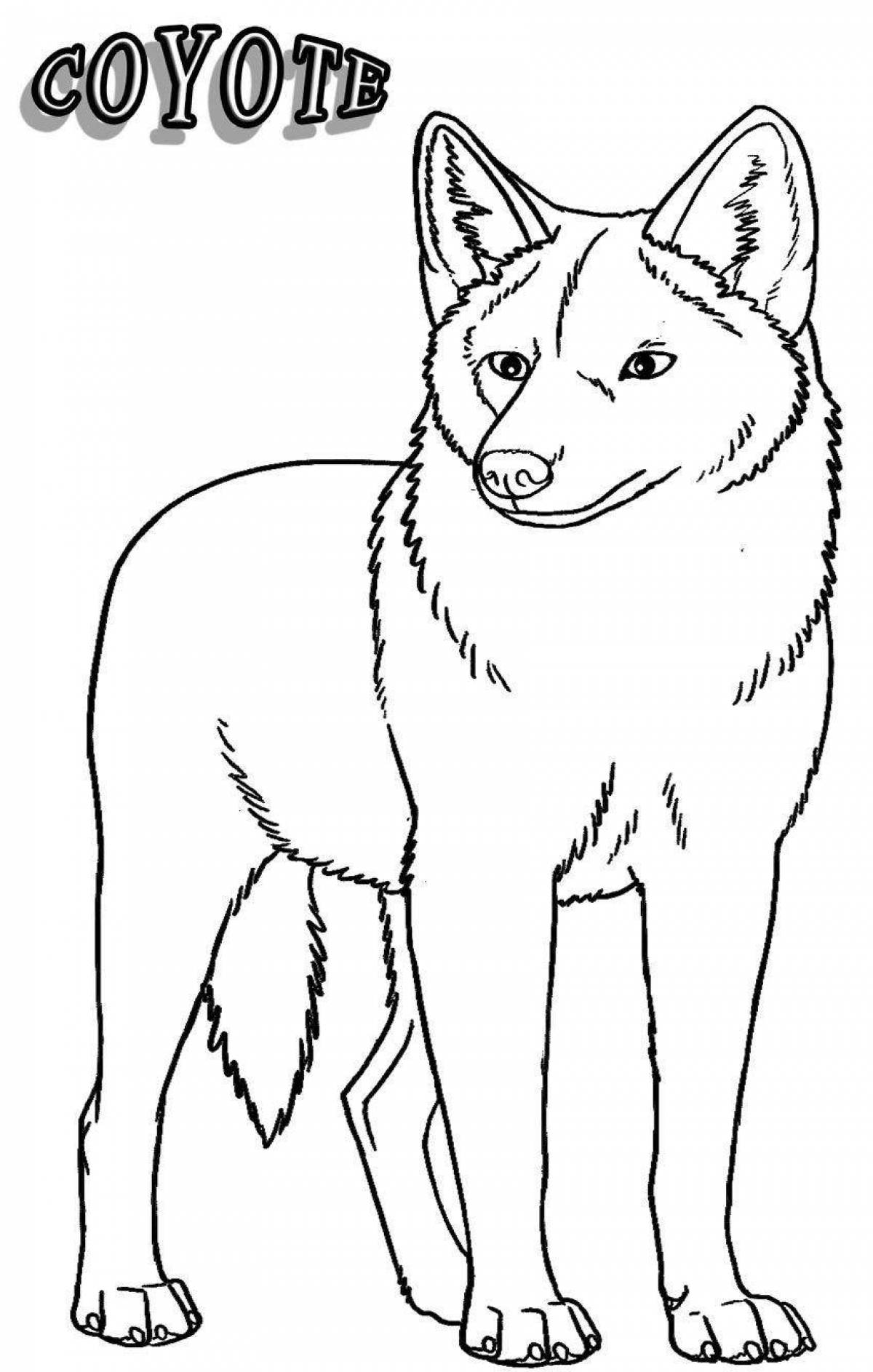 Coloring page graceful dingo dog