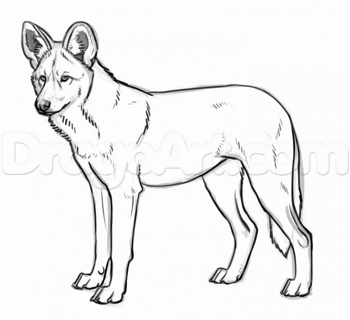 Coloring page energetic dingo dog