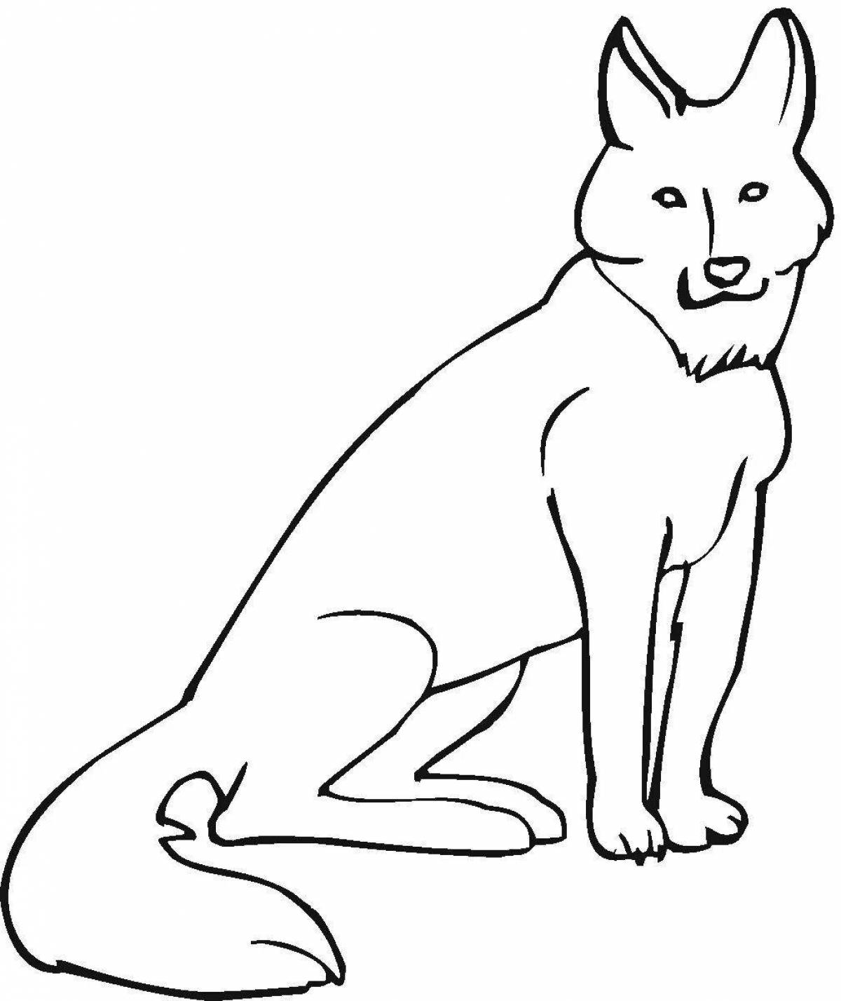 Coloring page cute dingo dog