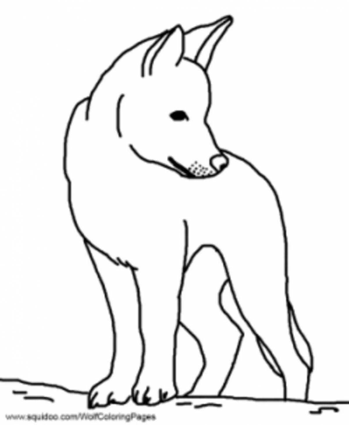 Dingo dog coloring page