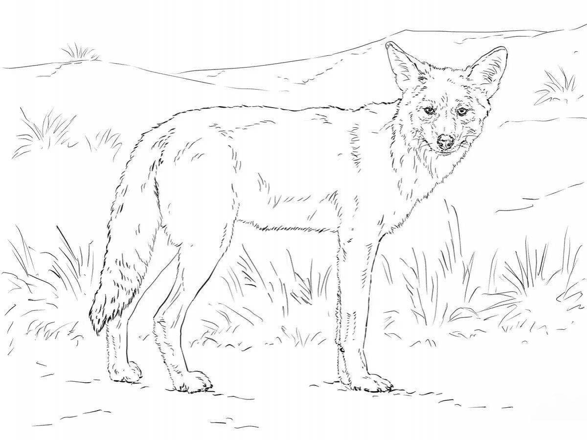 Coloring page mischievous dingo dog