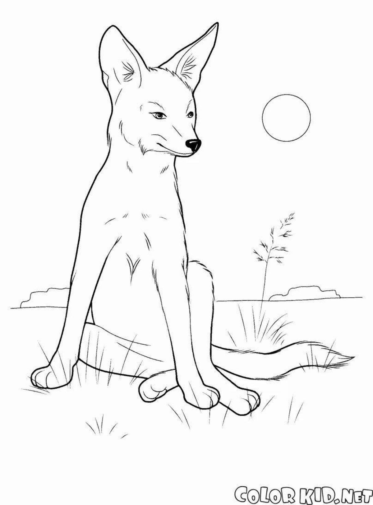 Coloring page of a sociable dingo dog