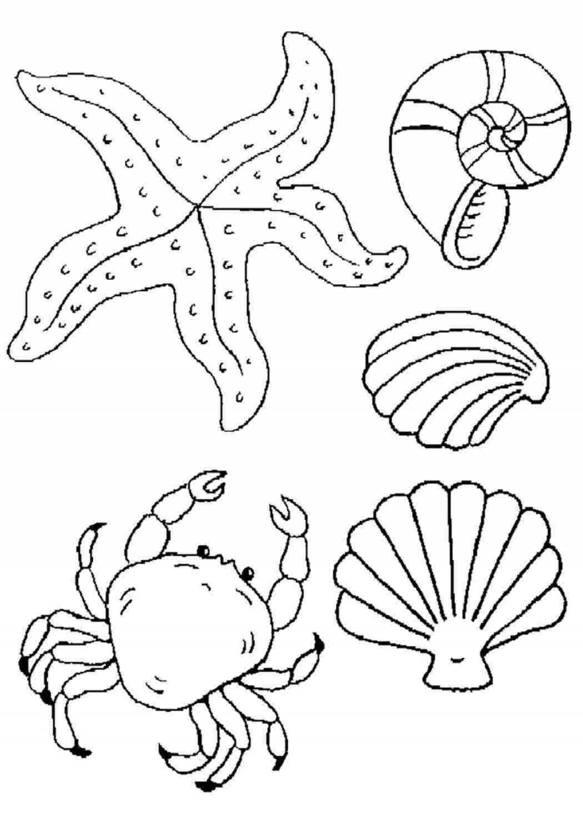 Amazing underwater life coloring pages