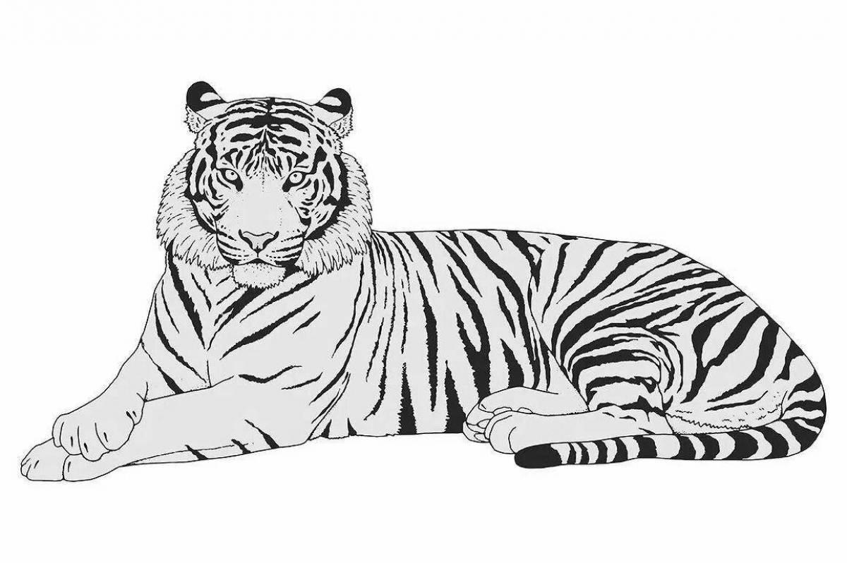 Coloring book exquisite Ussuri tiger