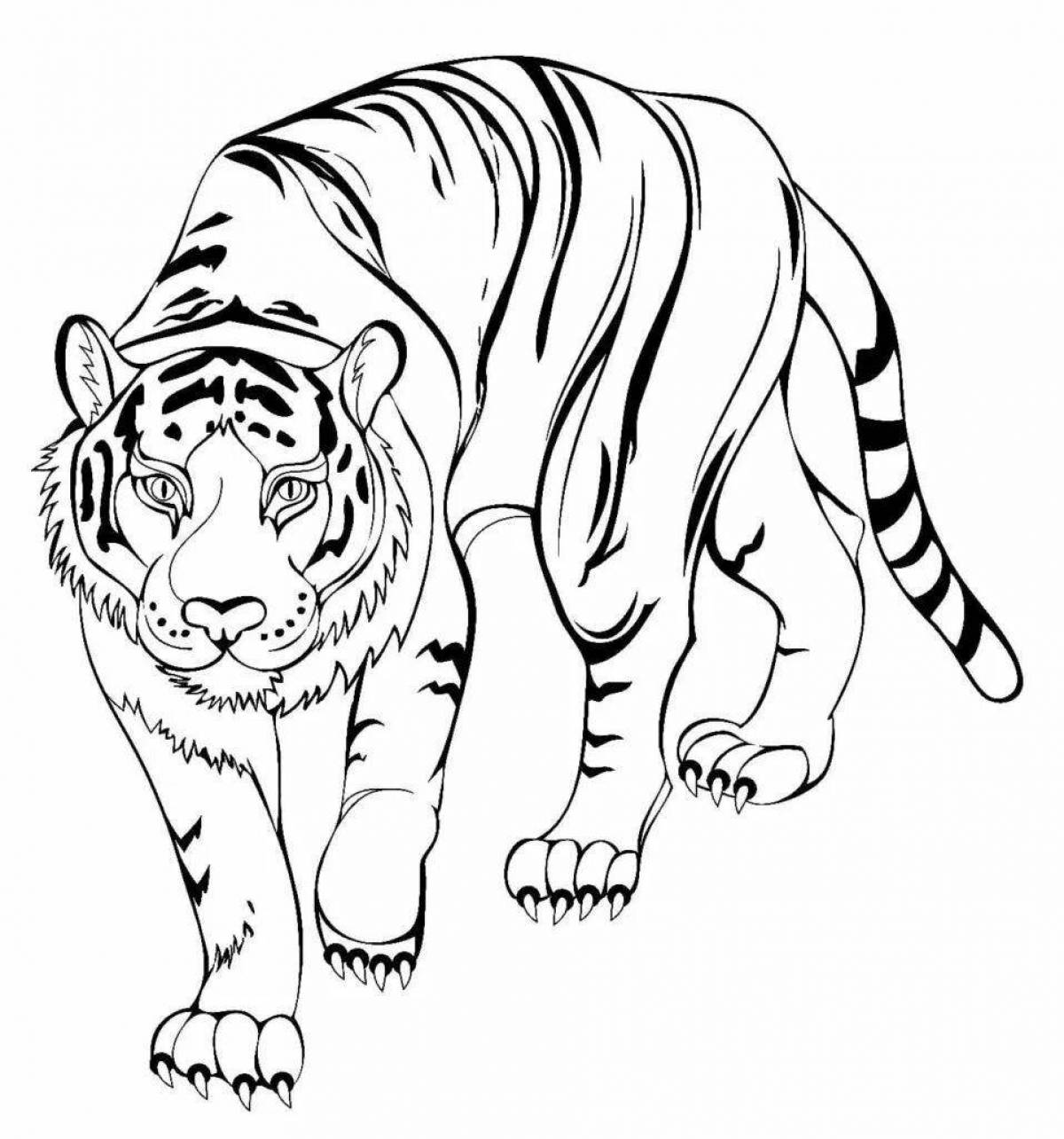 Раскраска элегантный уссурийский тигр