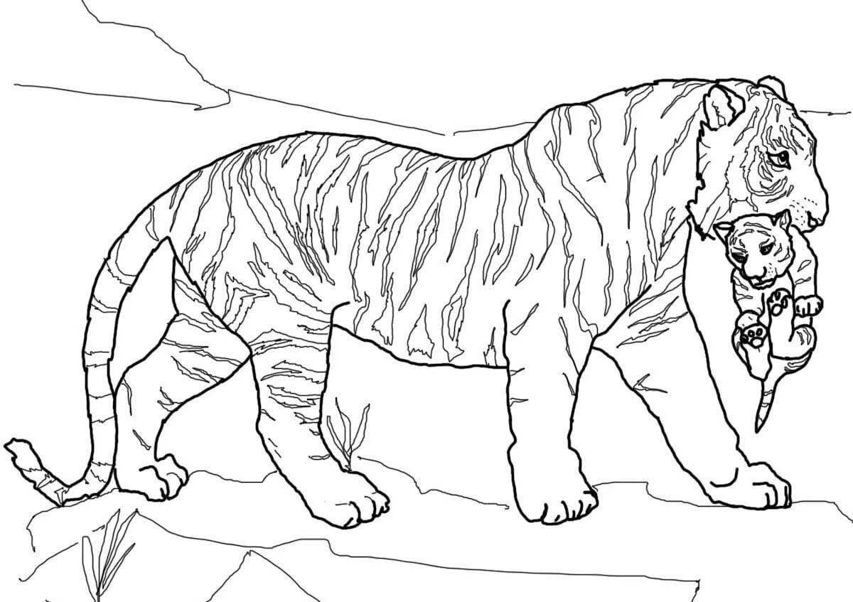 Раскраска лучезарный уссурийский тигр