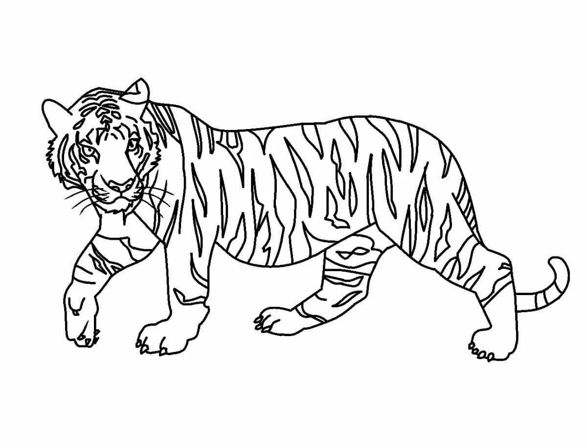 Раскраска ослепительный уссурийский тигр