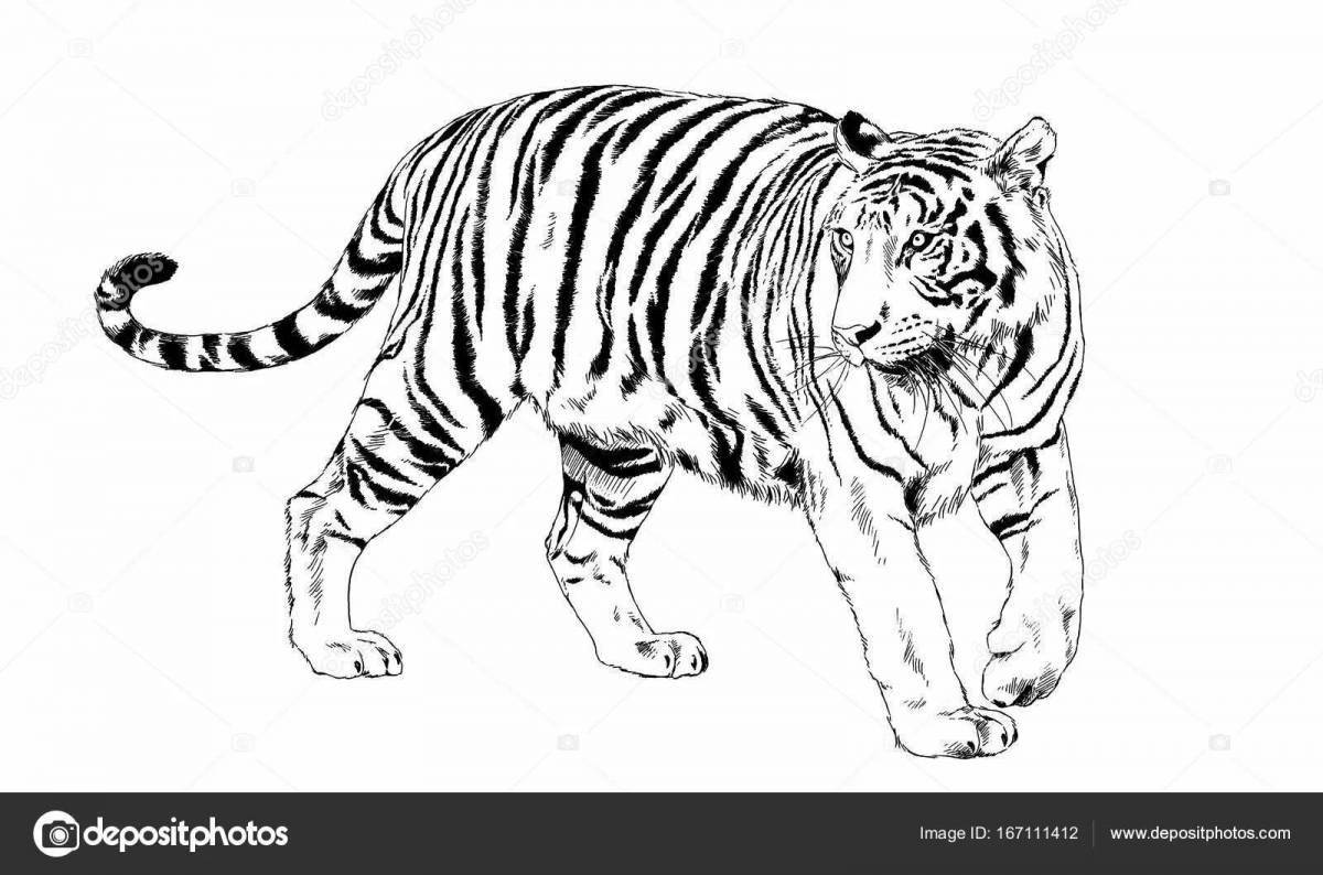 Ussuri tiger #2