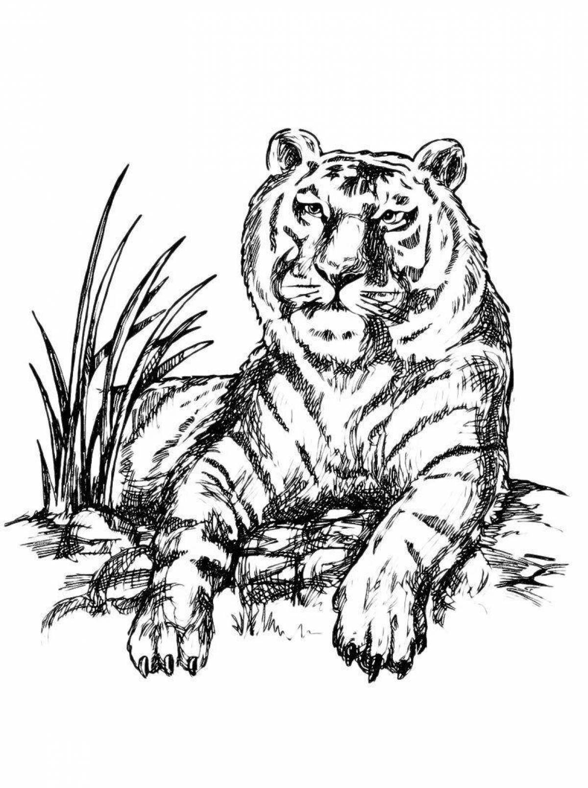 Ussuri tiger #6
