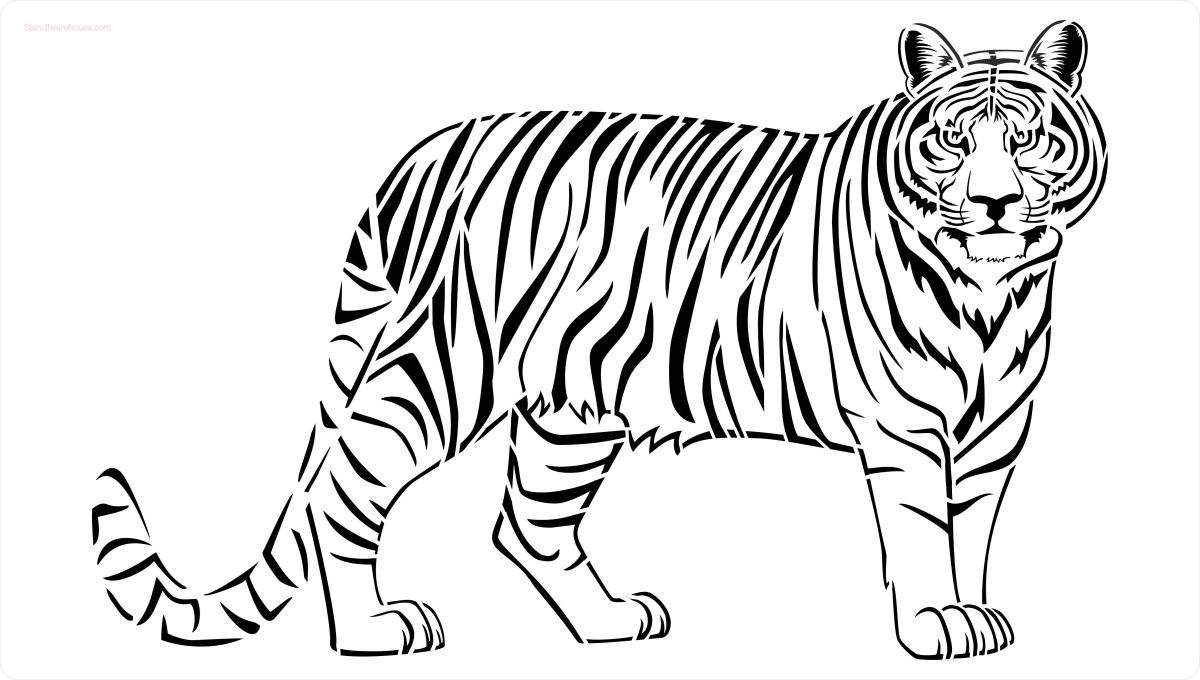 Ussuri tiger #12
