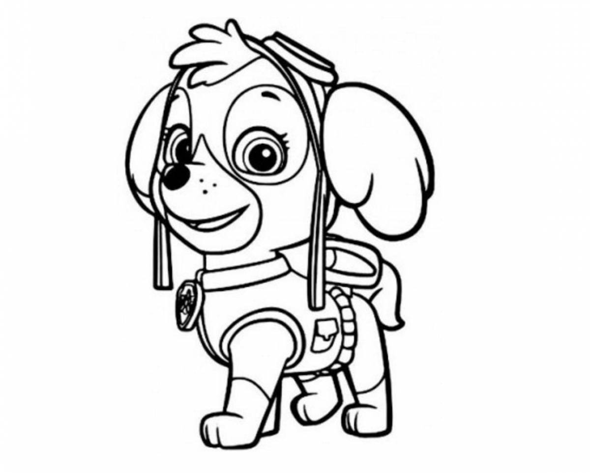 Funny Everest puppy coloring book