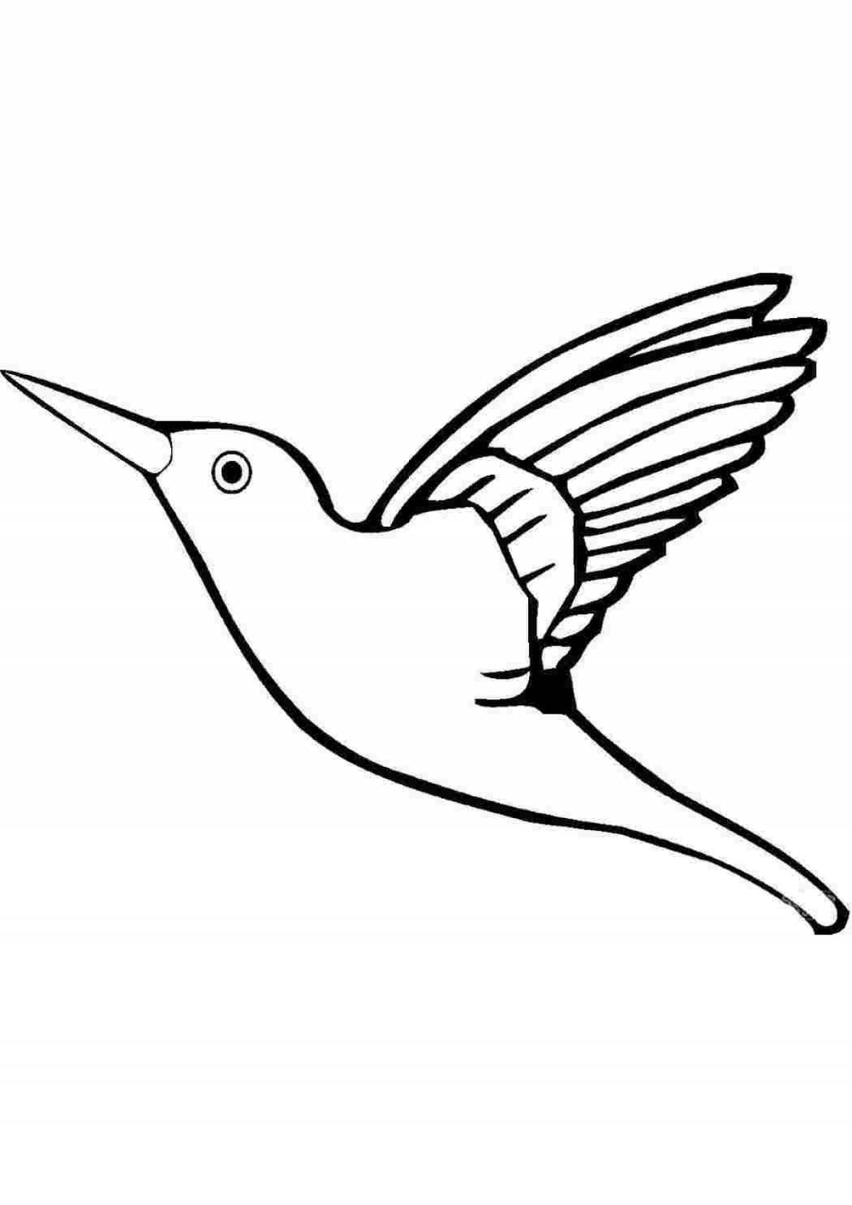 Красочная раскраска колибри птица
