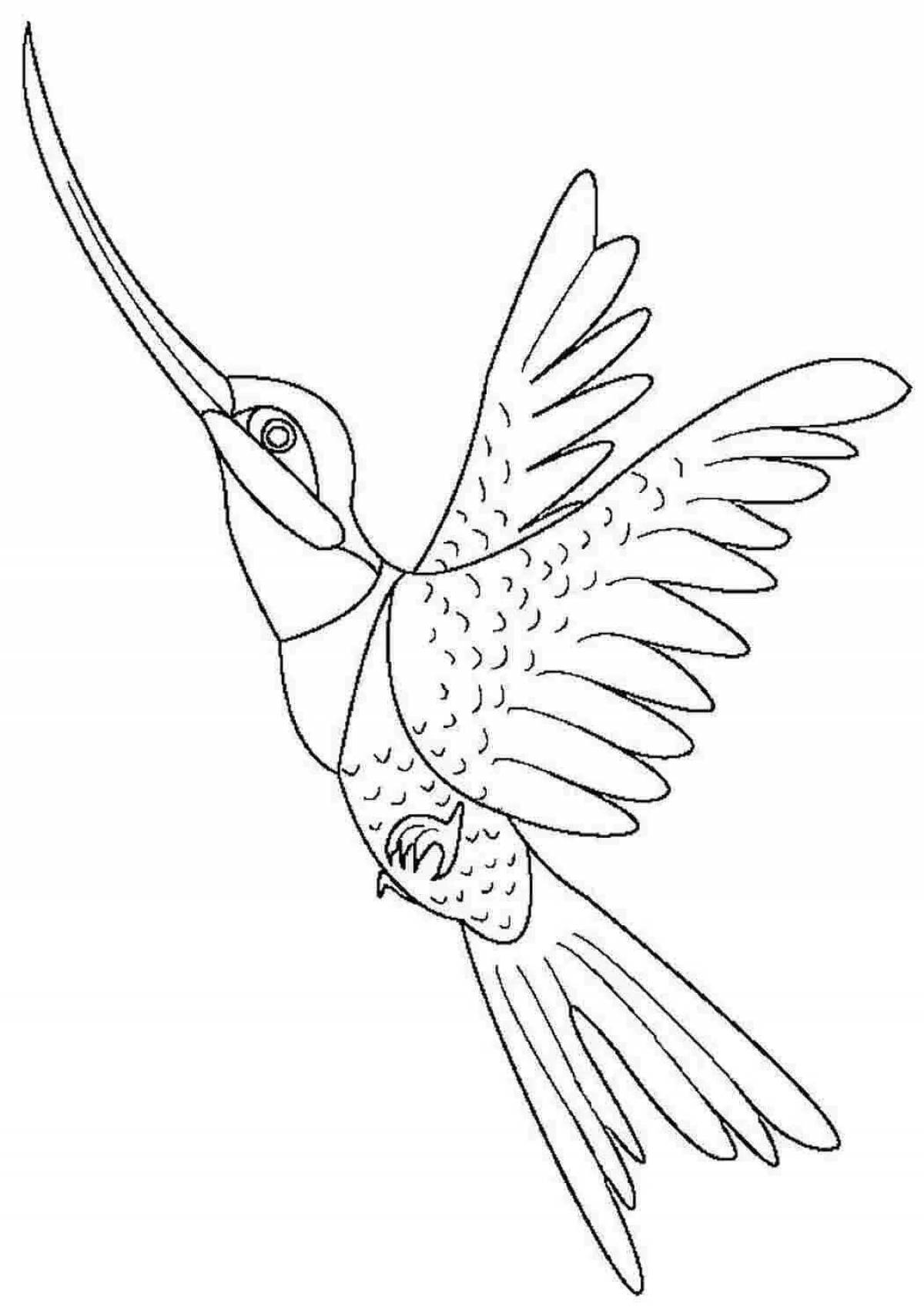 Увлекательная раскраска колибри