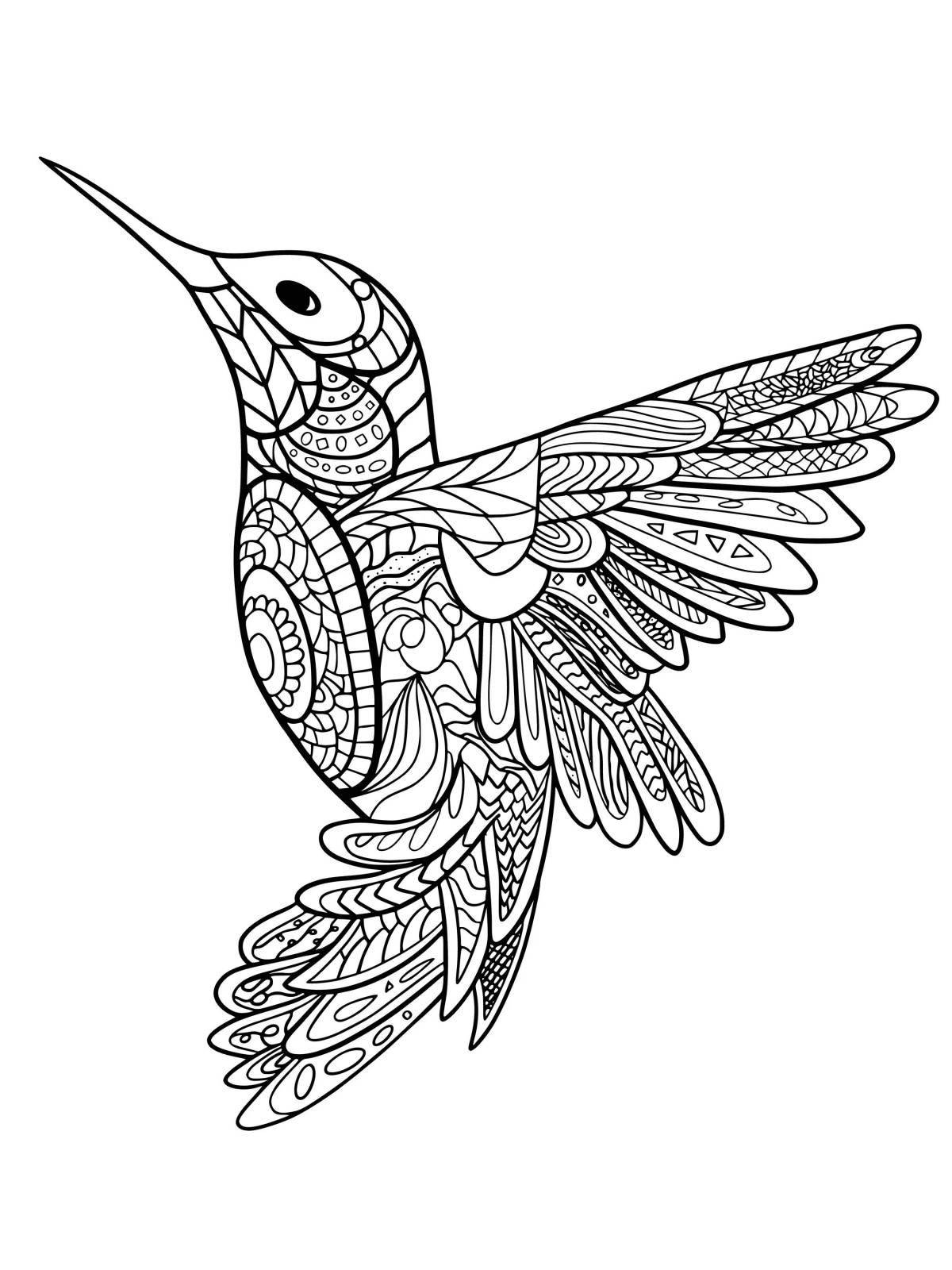 Пикантная раскраска колибри