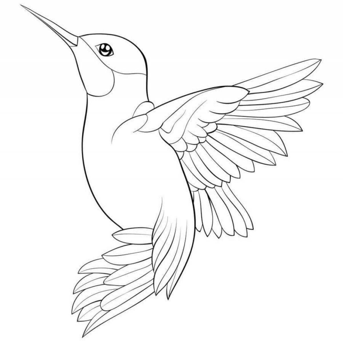 Изысканная раскраска колибри птица