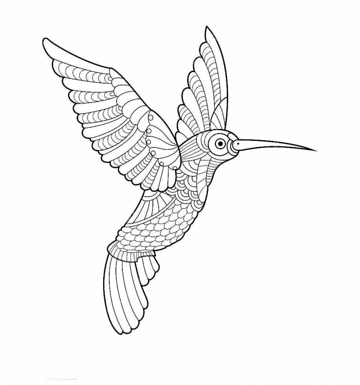 Vivacious coloring page hummingbird bird