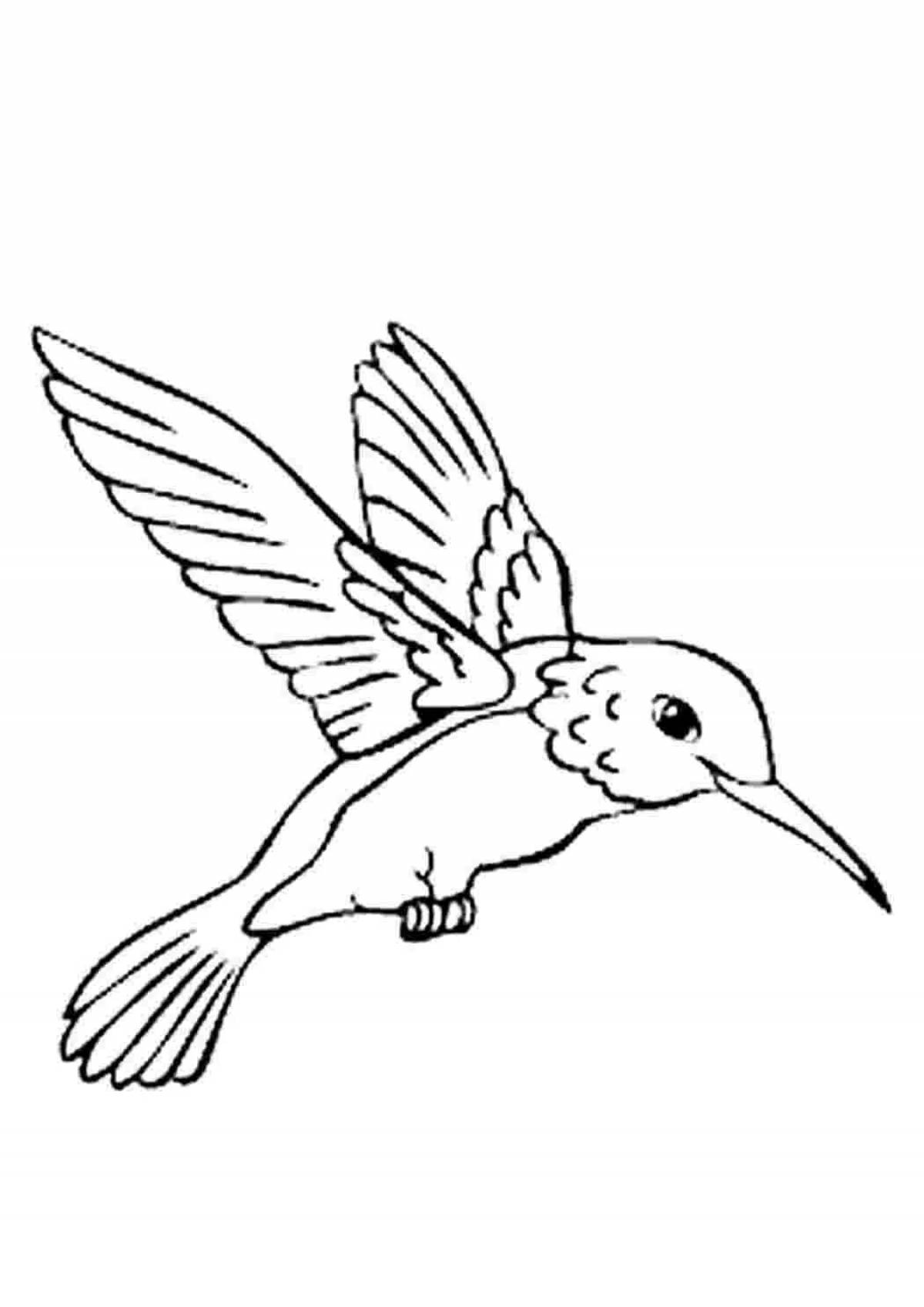 Колибри птица #2