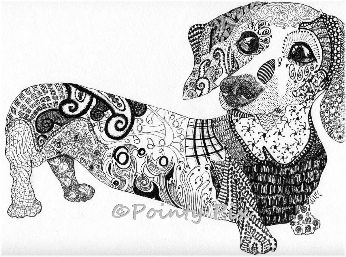 Colouring funny dachshund antistress