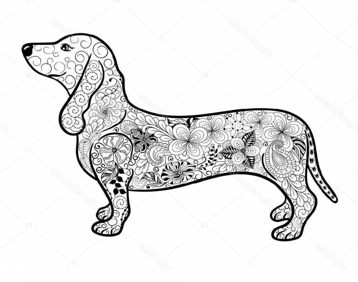 Coloring book bright dachshund antistress