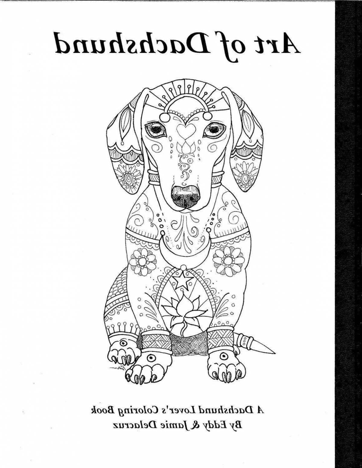 Colorful dachshund antistress coloring book