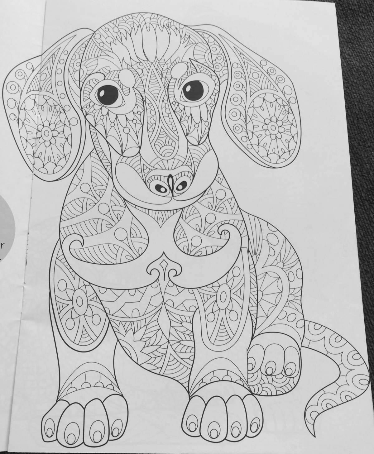 Funny dachshund antistress coloring book