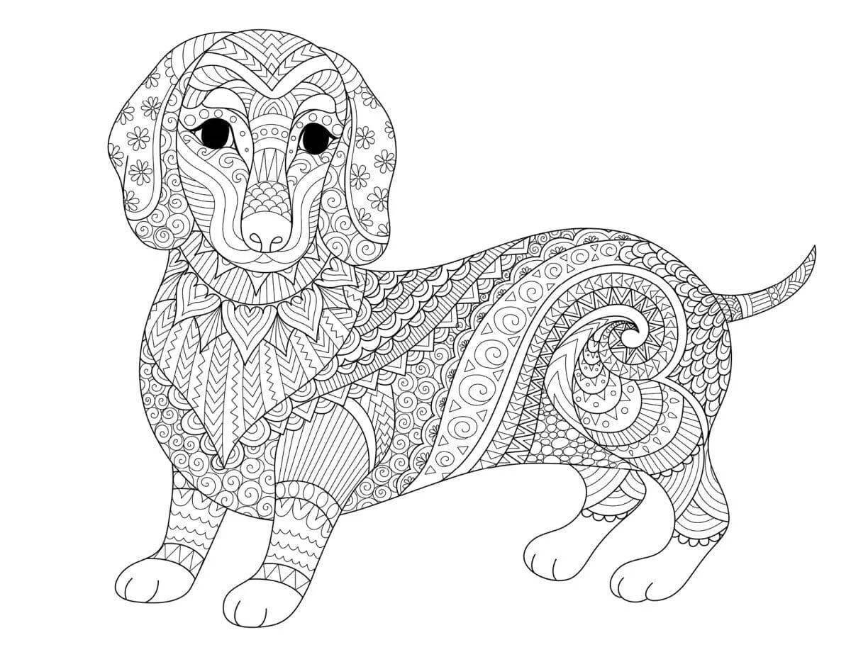 Cute dachshund antistress coloring book
