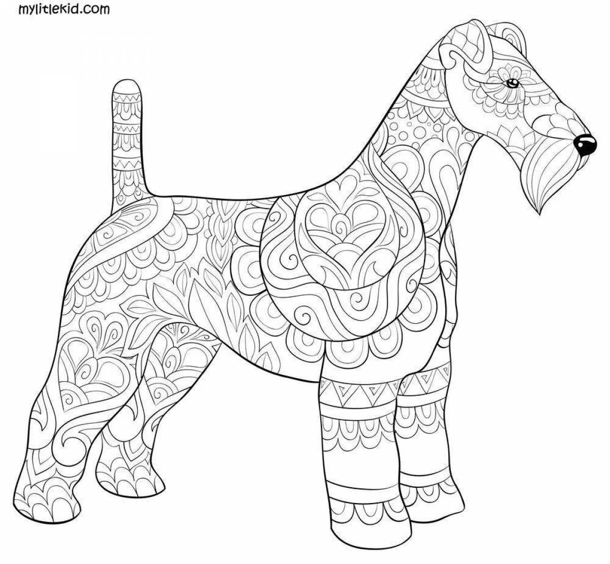 Coloring book charming dachshund antistress
