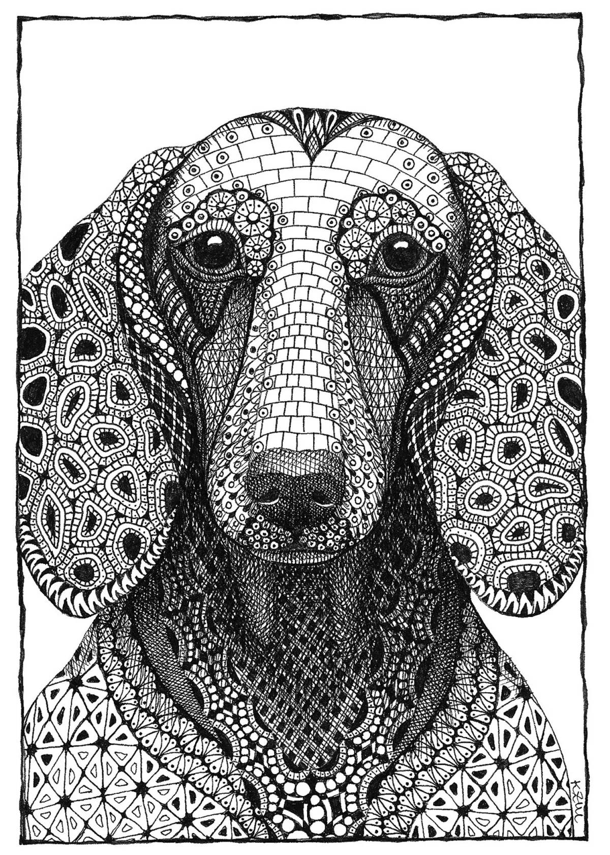 Colouring funny dachshund antistress