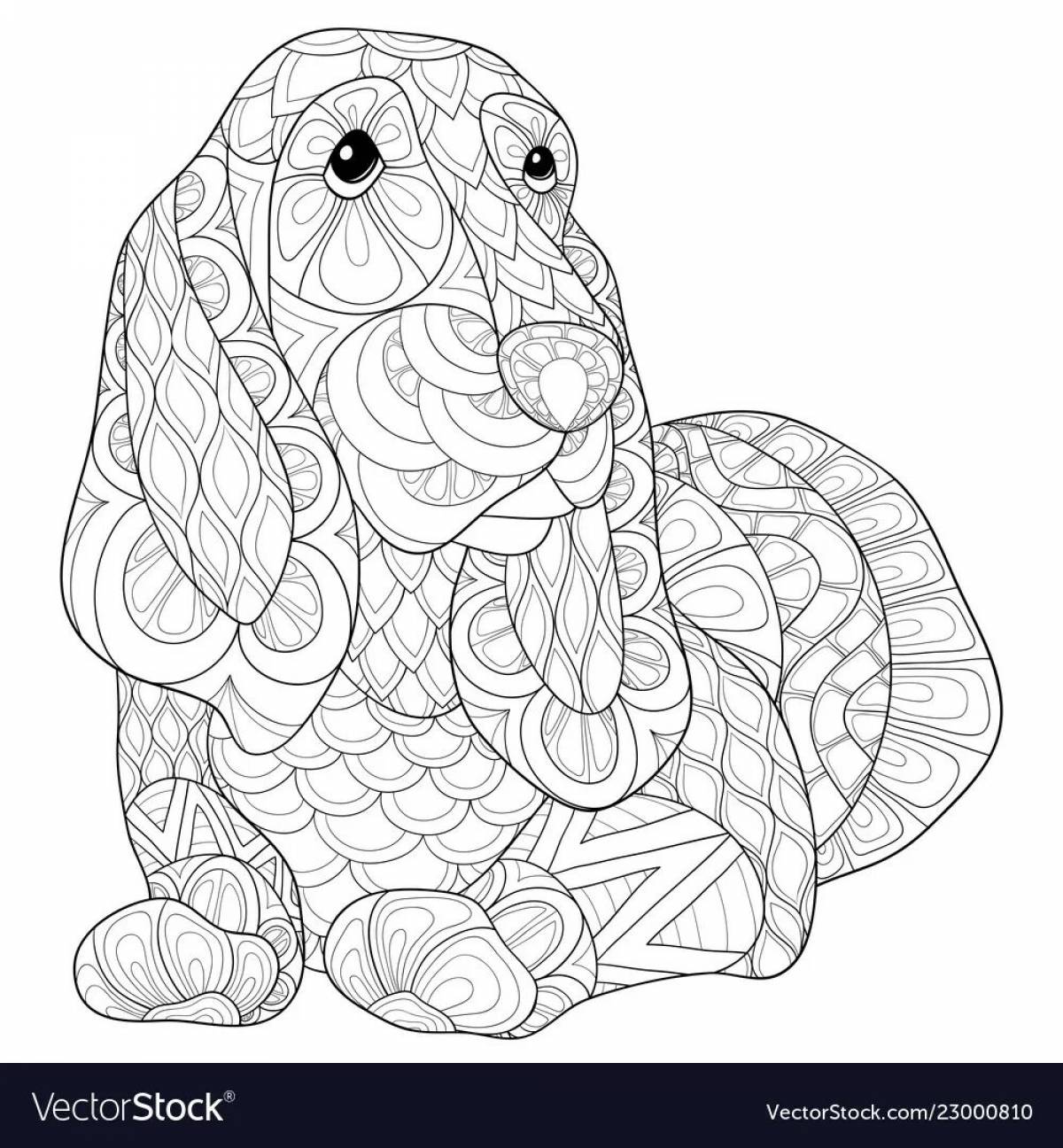 Attractive dachshund antistress coloring book