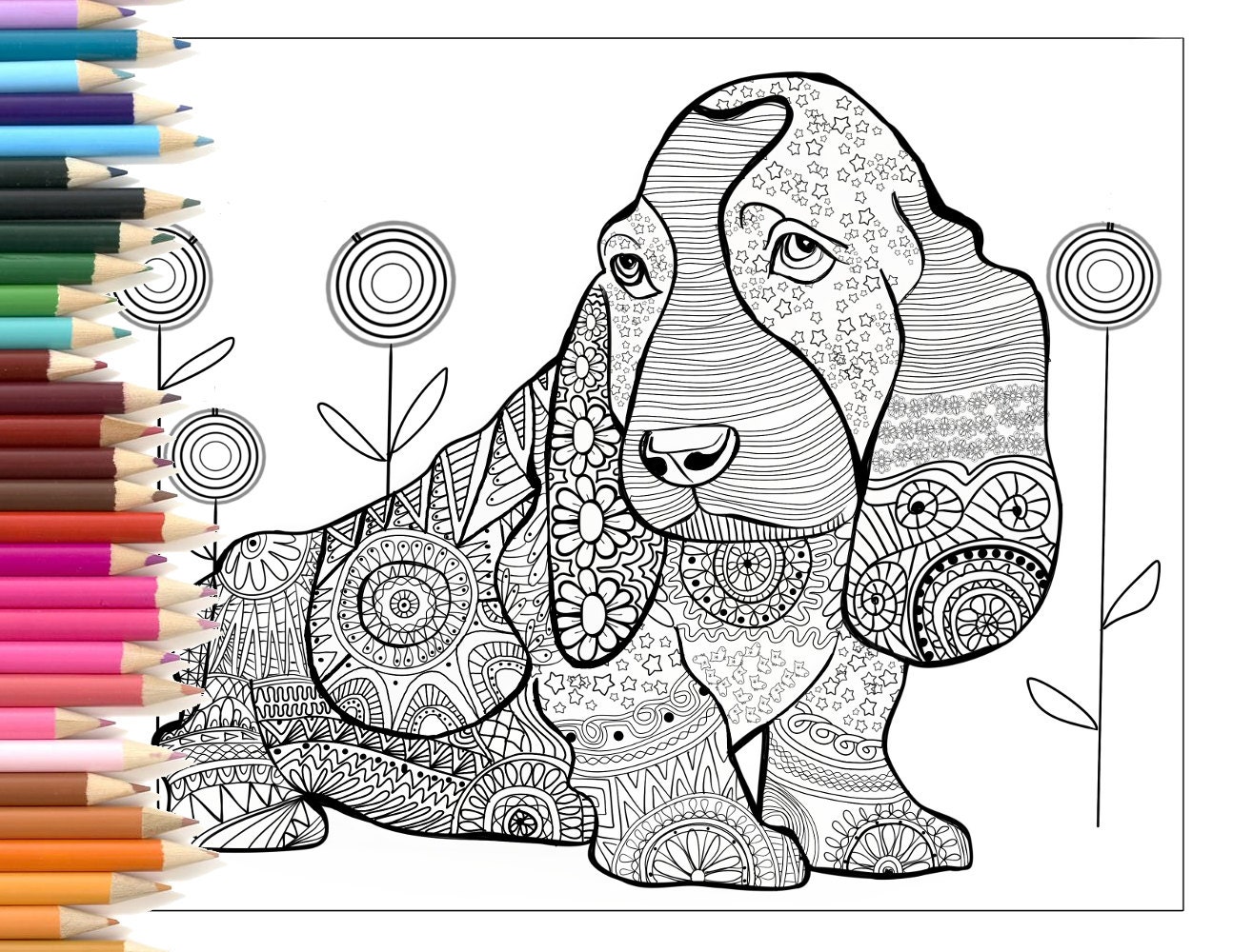 Invigorating dachshund antistress coloring book