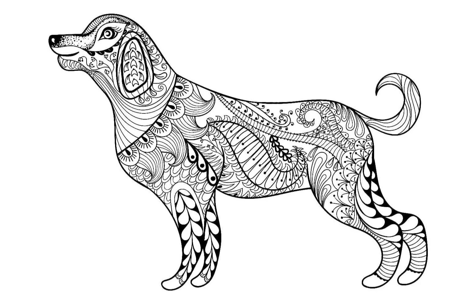 Lightening dachshund anti-stress coloring