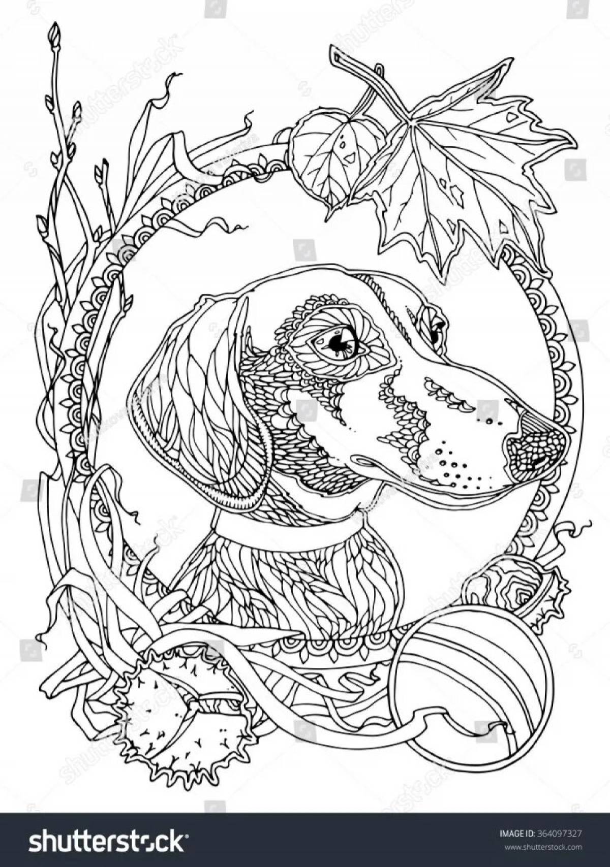 Calming dachshund antistress coloring book