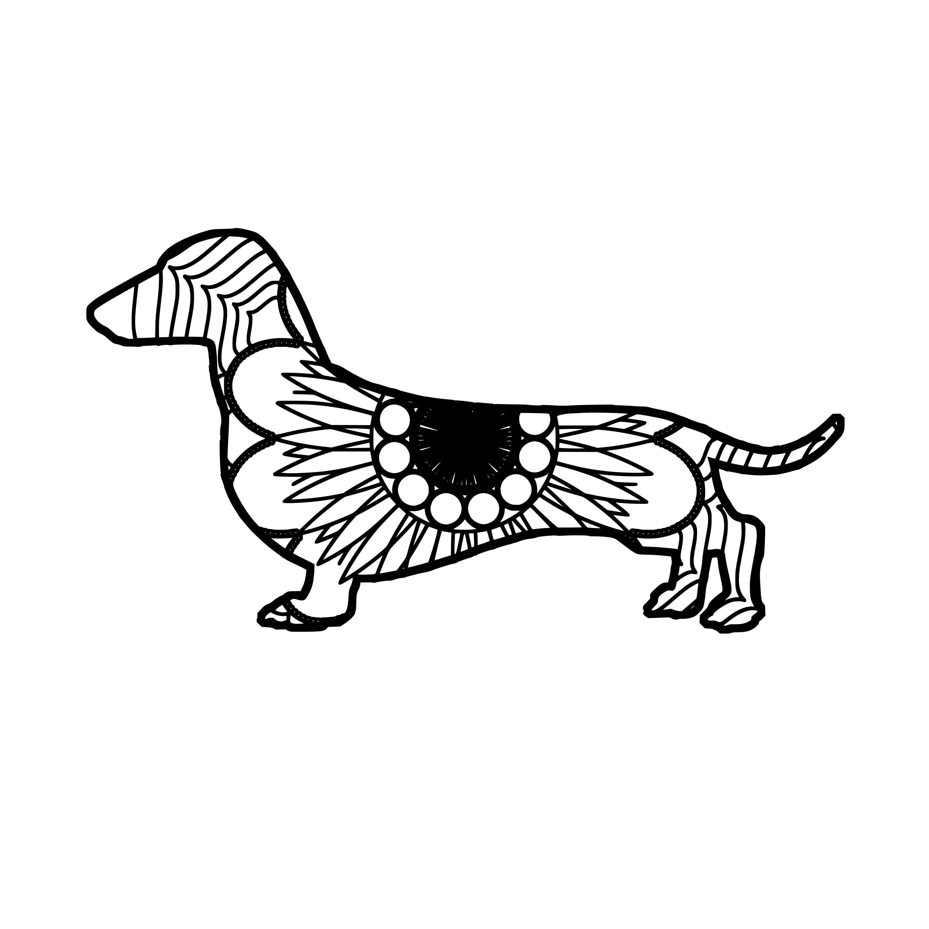 Fascinating dachshund antistress coloring book