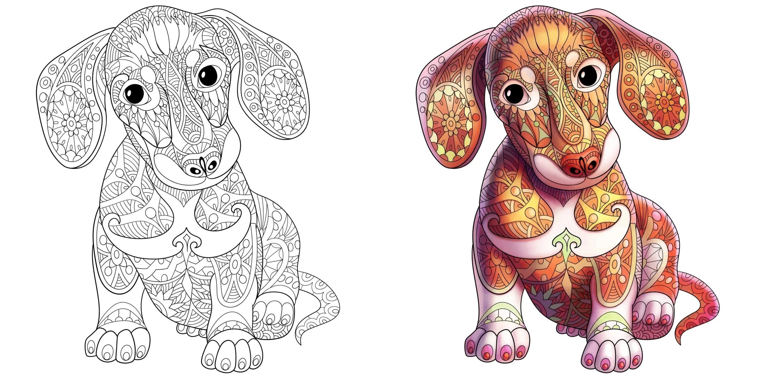 Soulful dachshund antistress coloring book