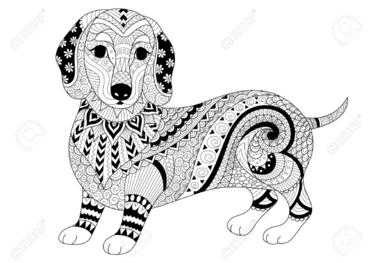 Invigorating dachshund antistress coloring book