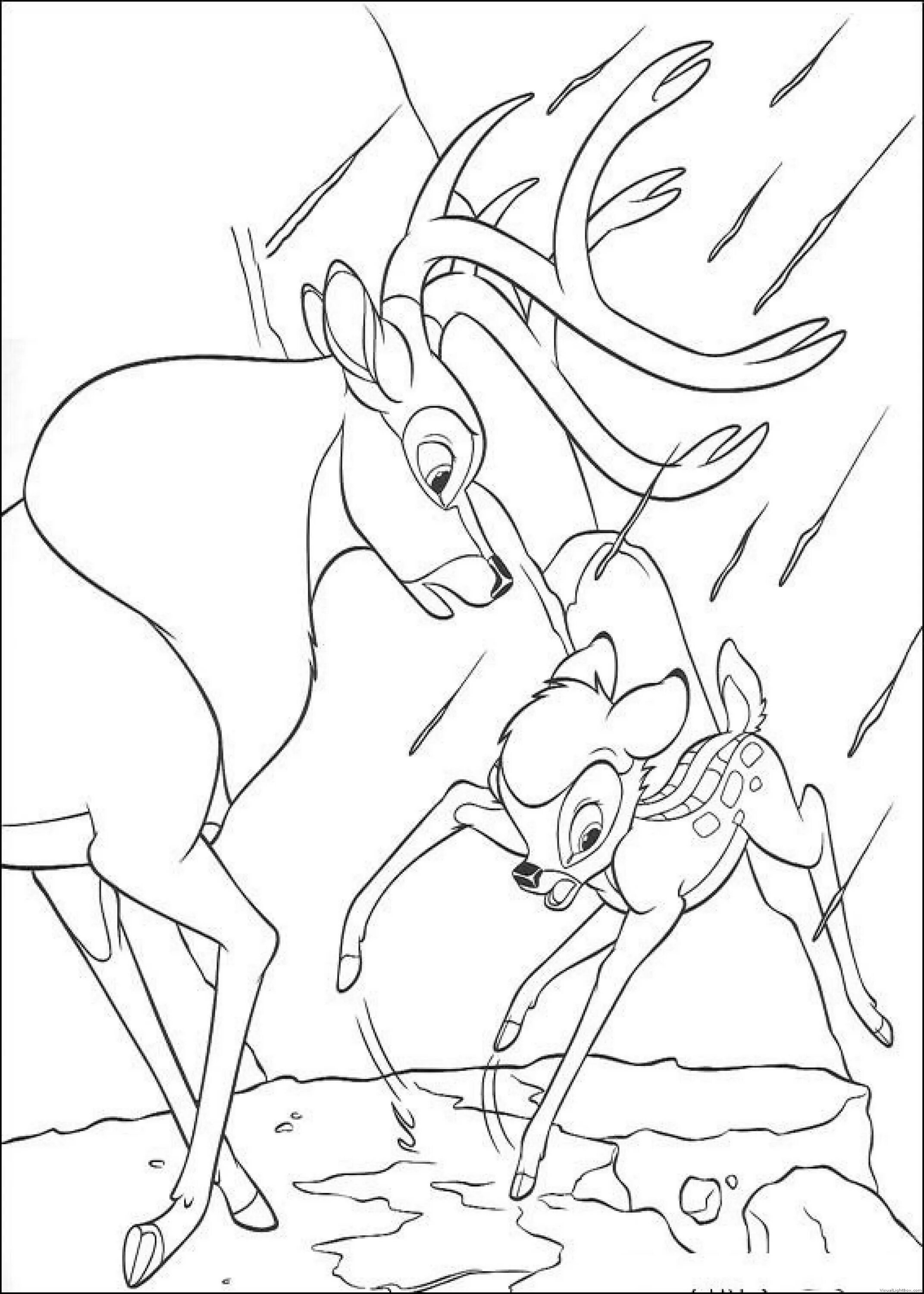Attractive bambi 2 coloring book