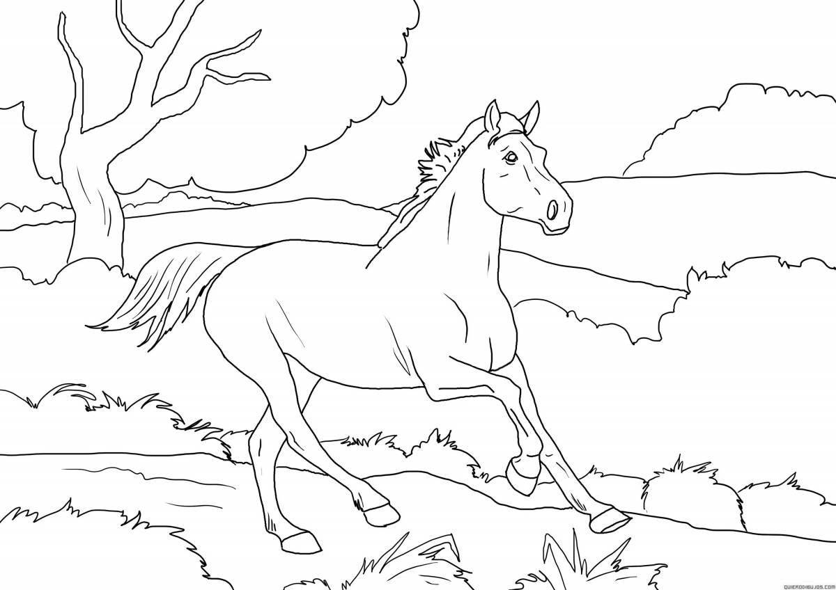 Coloring page vibrant star stable