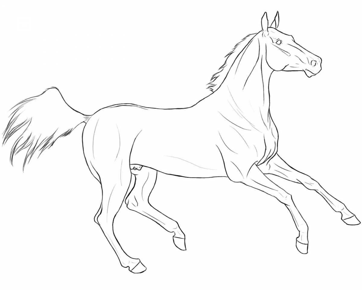 Coloring brilliant star stable