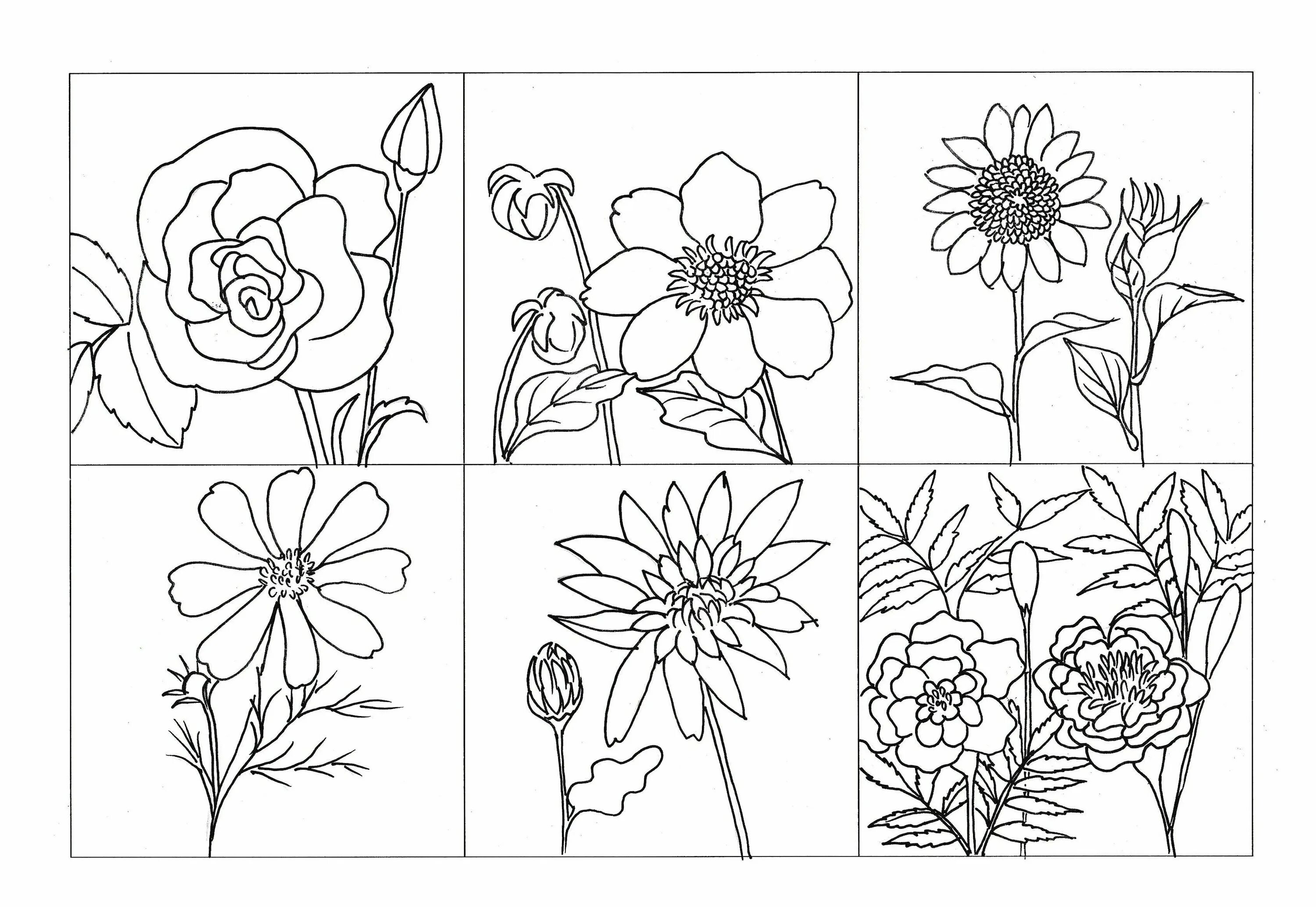 Various flowers #10