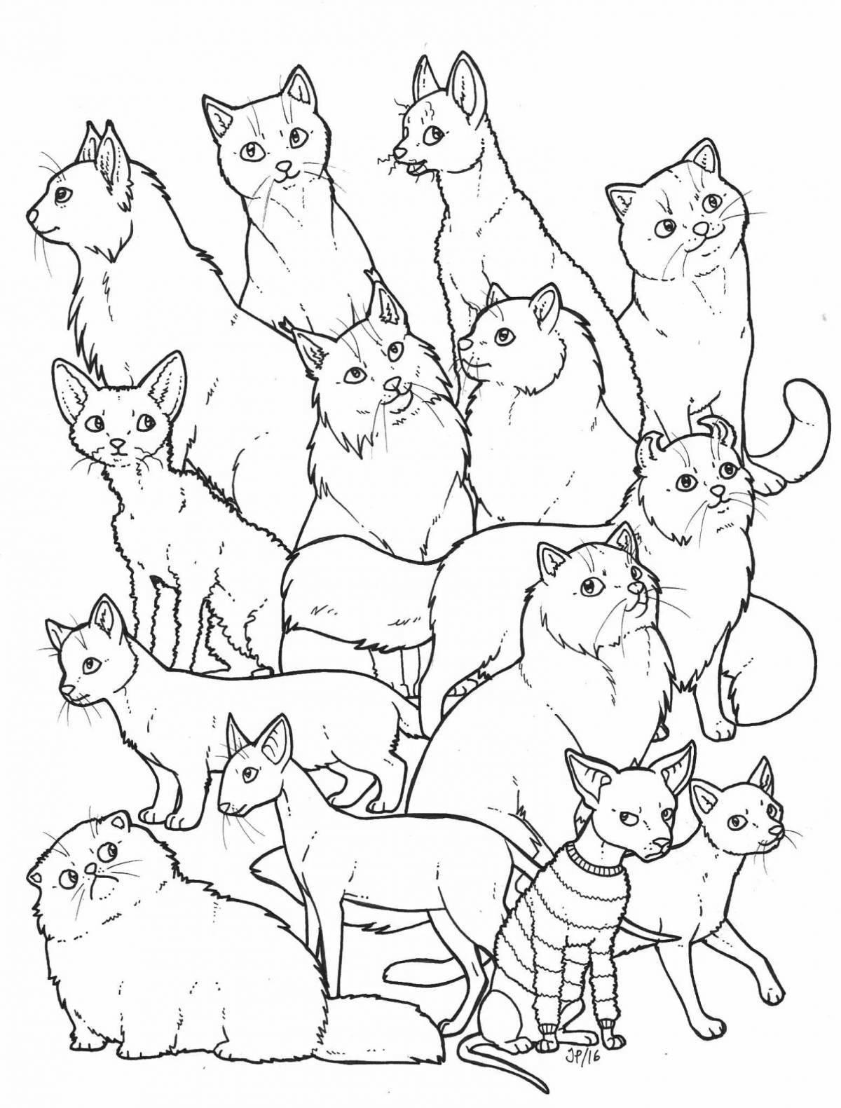 Coloring page of a playful cat family