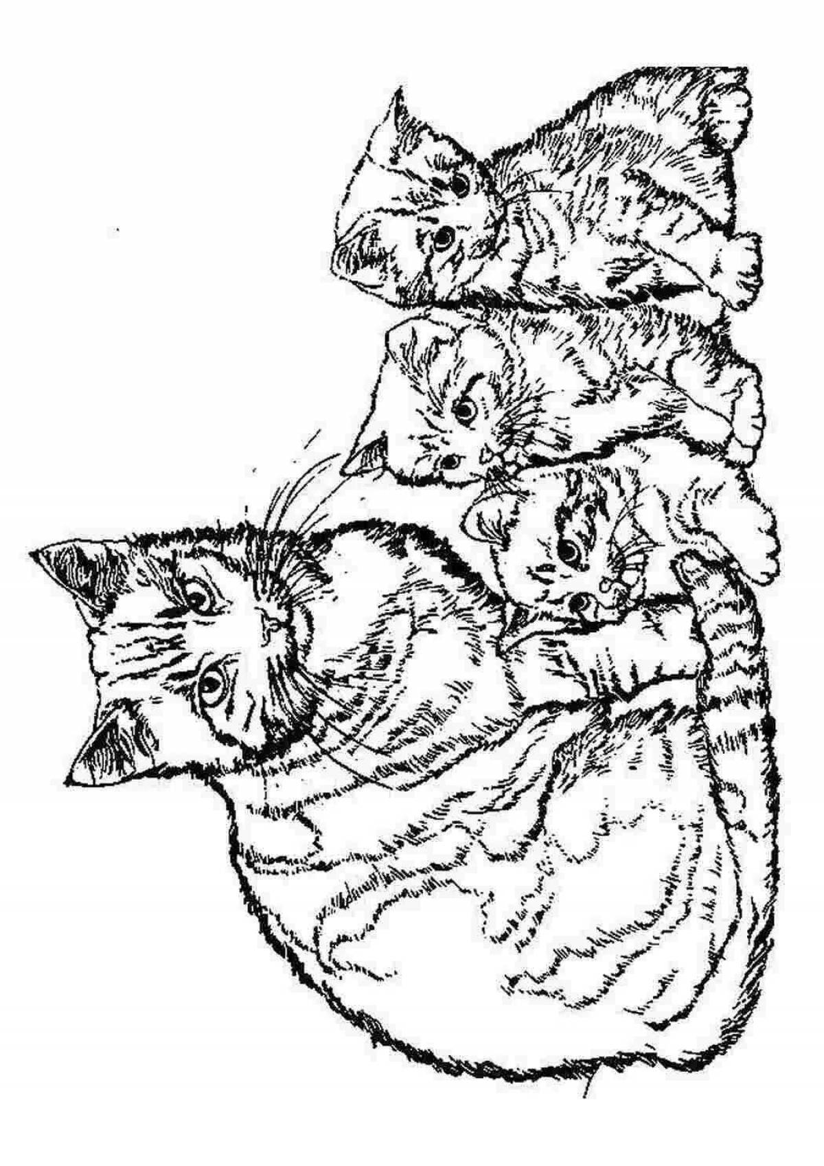 Раскраска уютная кошачья семья