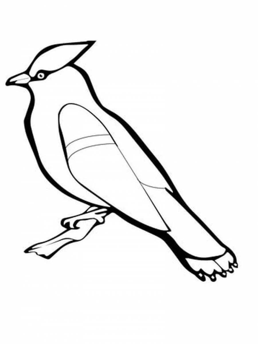Свиристель птица раскраска для детей