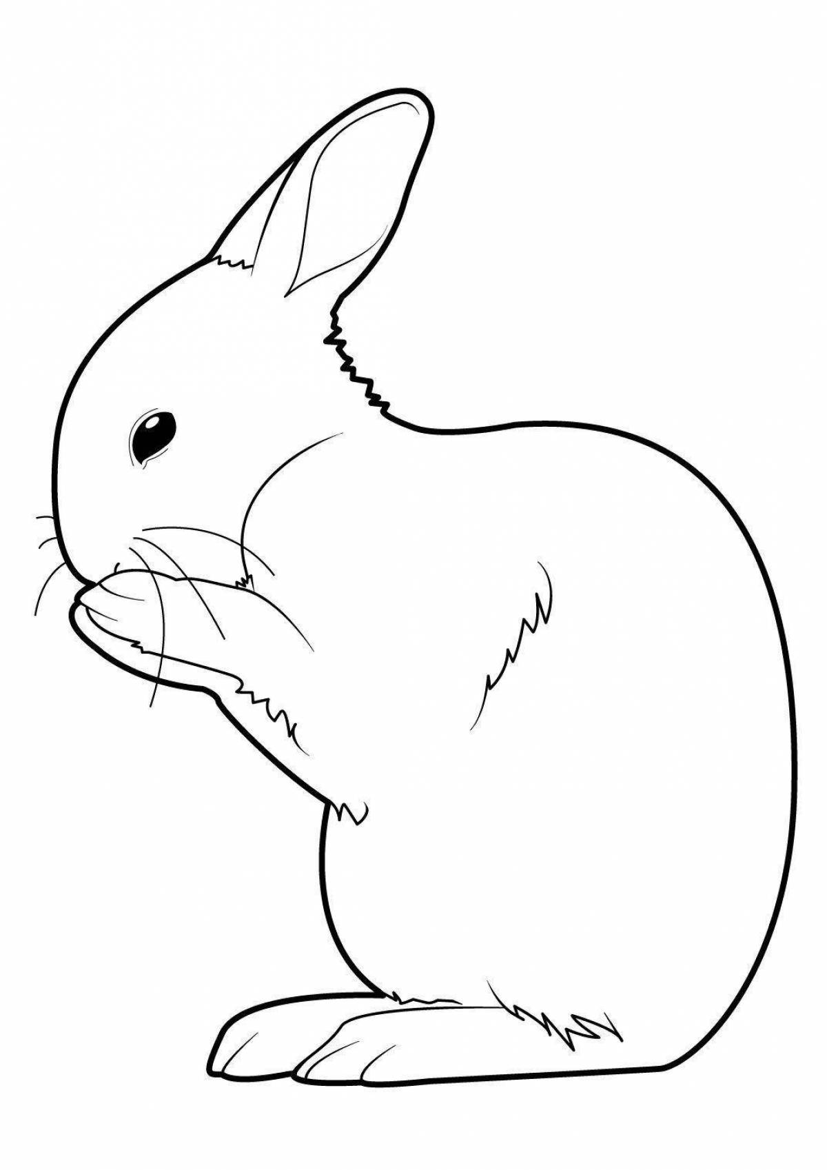 Living coloring rabbit