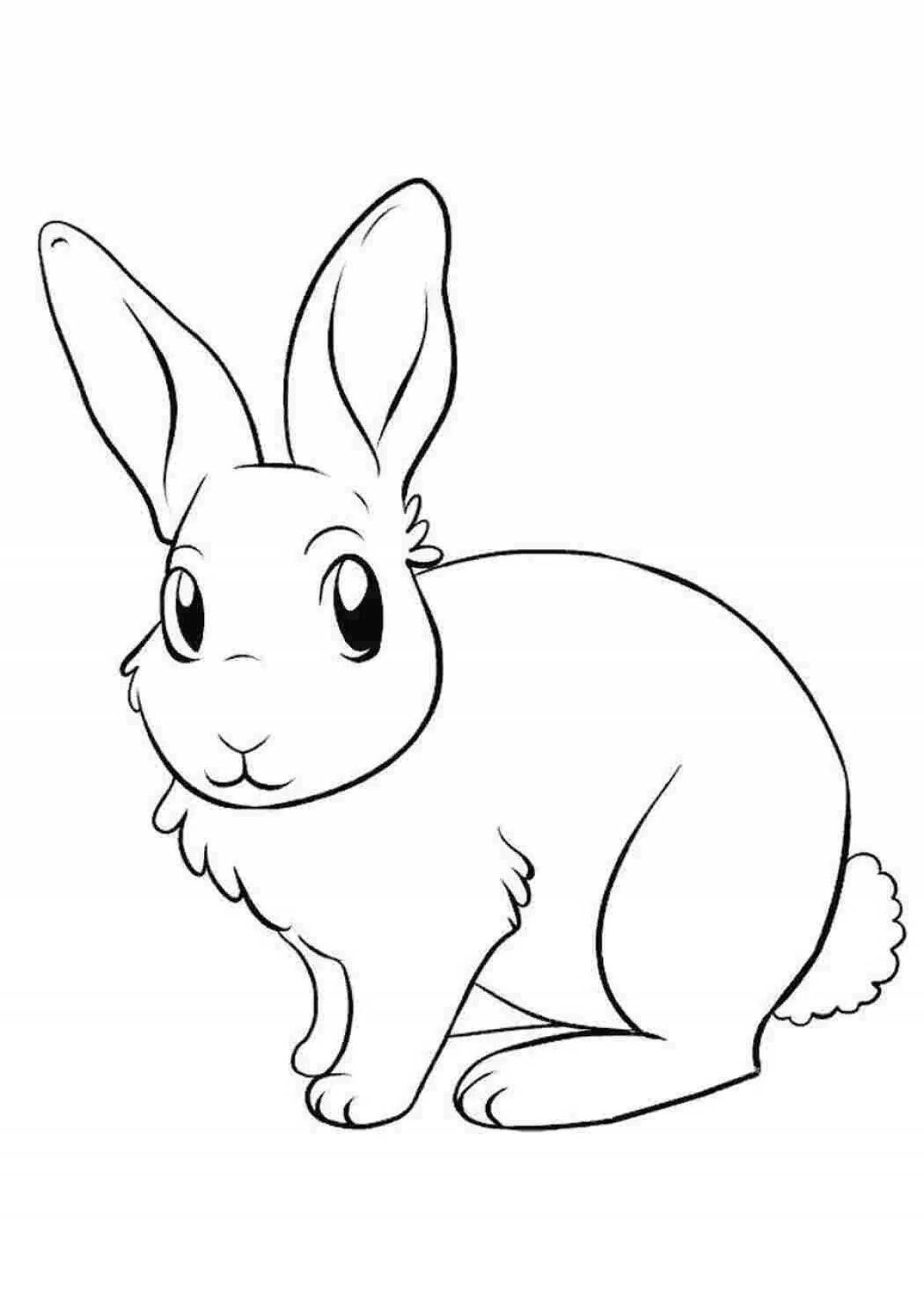 Озорной кролик-раскраска