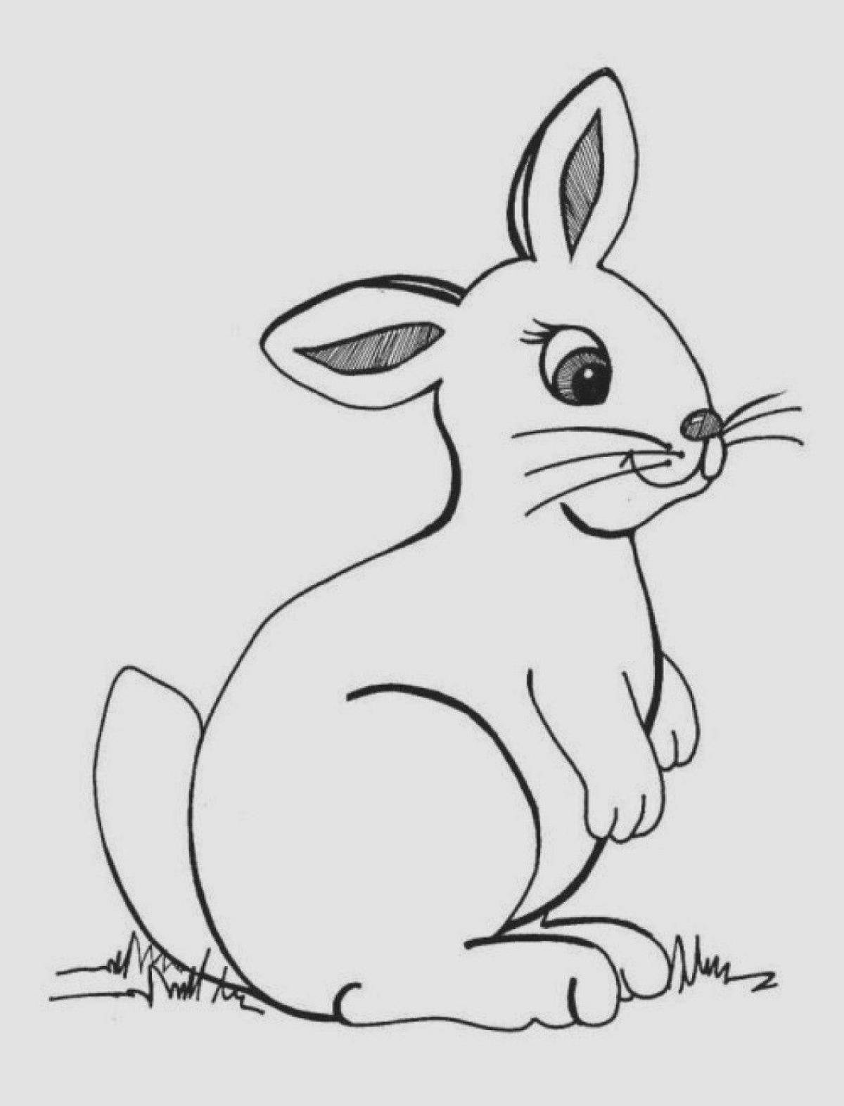 Яркая раскраска кролик