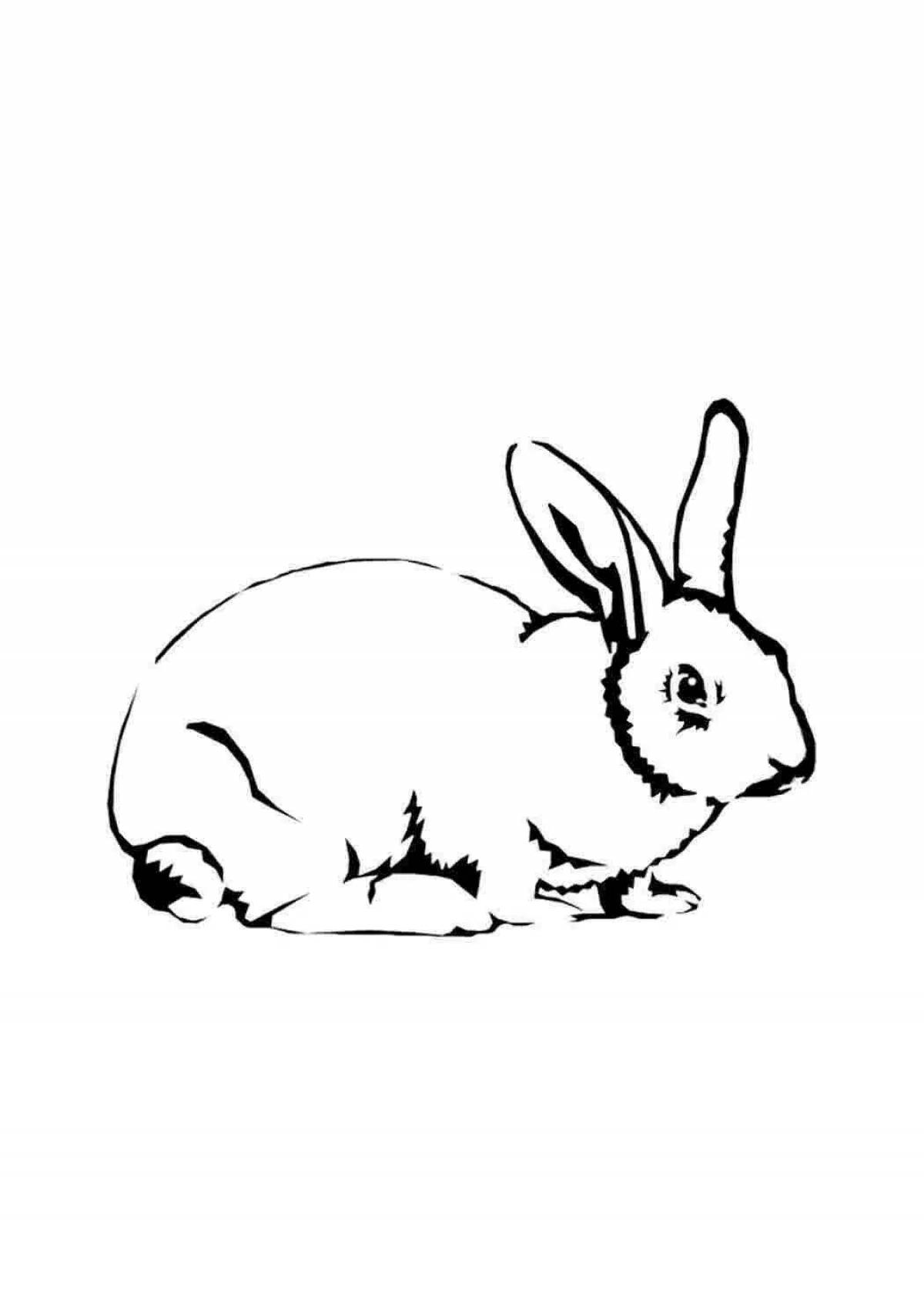Joyful rabbit coloring