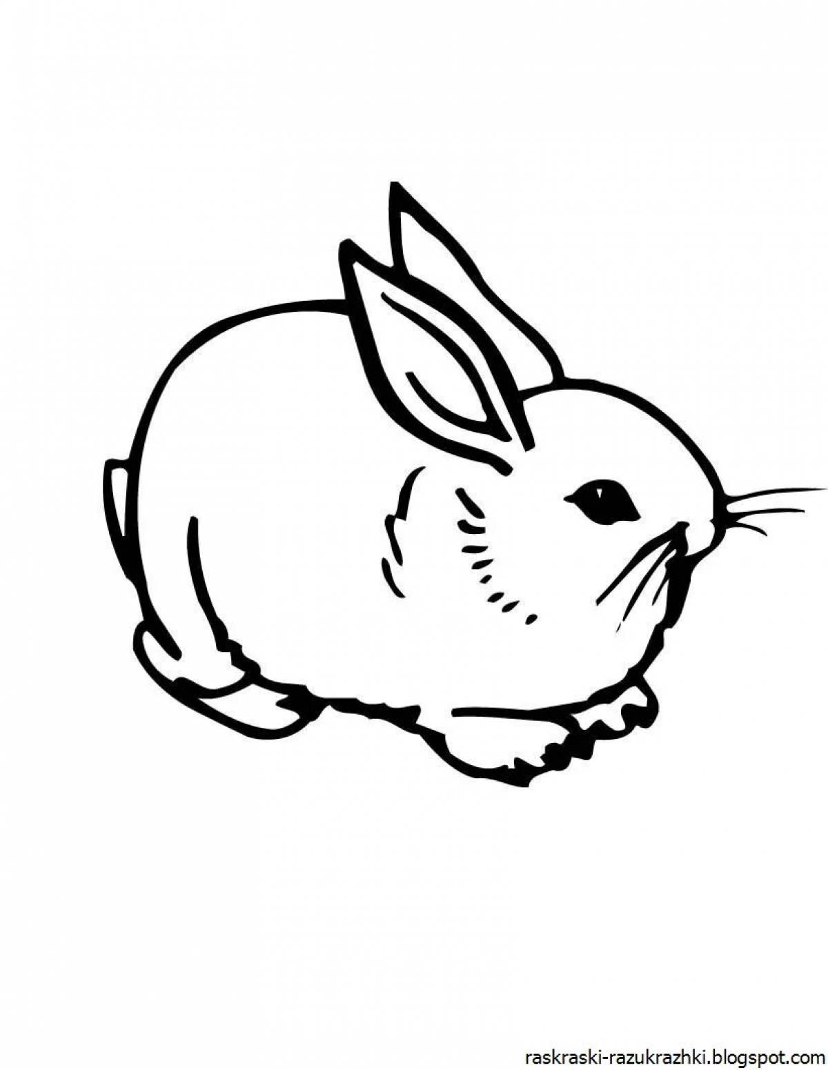 Кролик фото #8