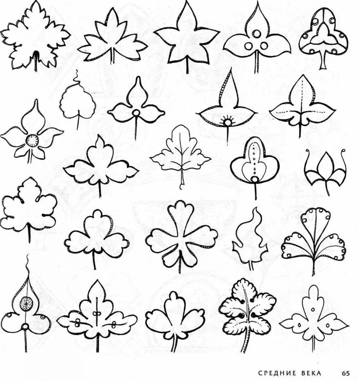 Photo Nice coloring little flowers