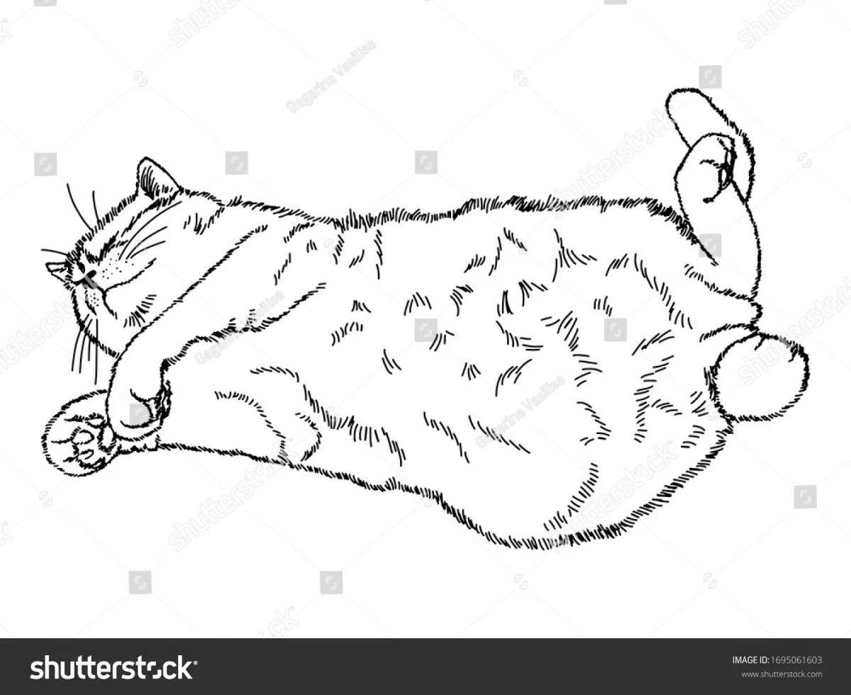 Раскраска ленивый кот спящий