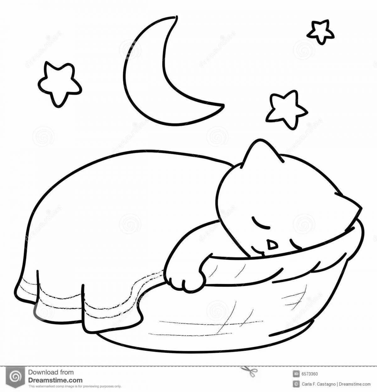 Coloring book lying cat sleeping